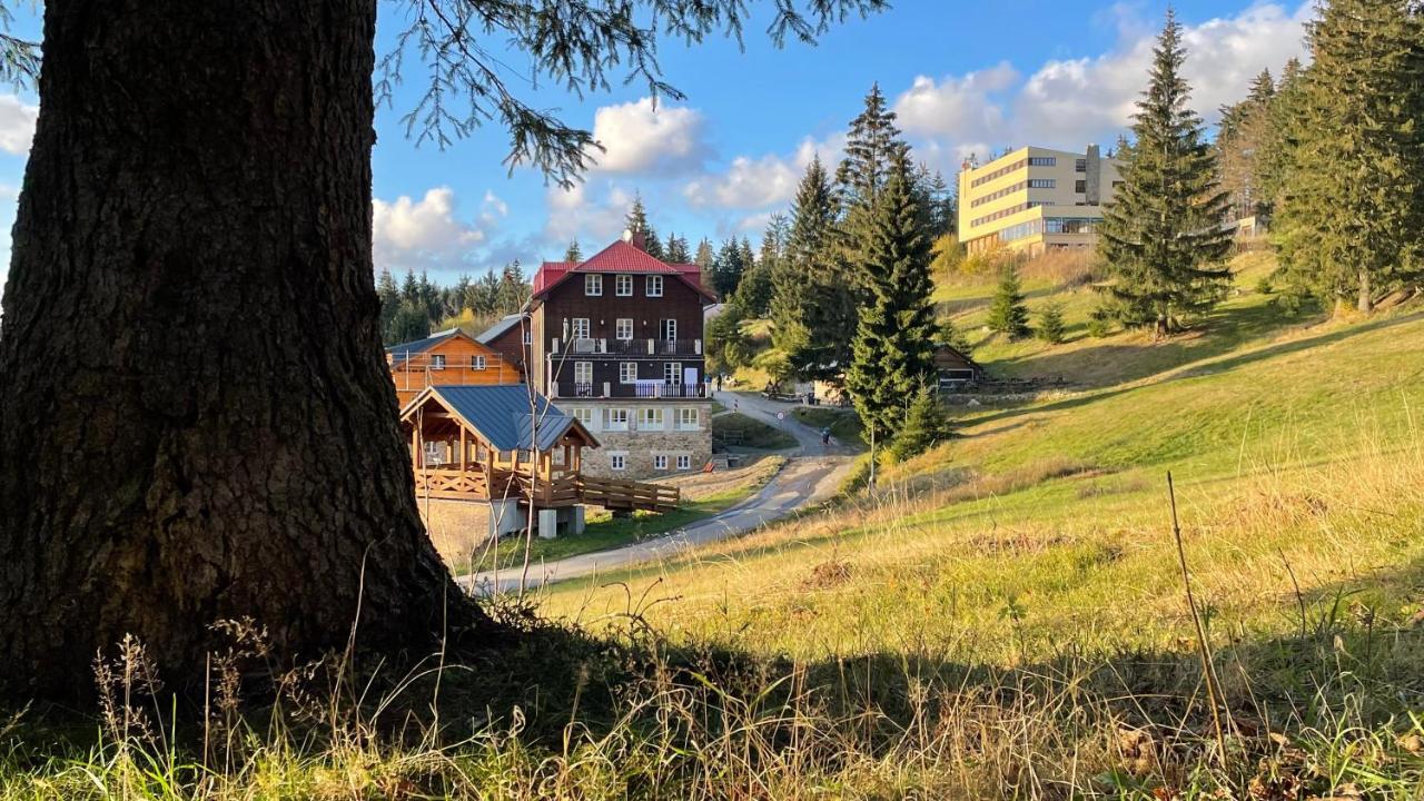 V Beskydech Apartment Stare Hamry