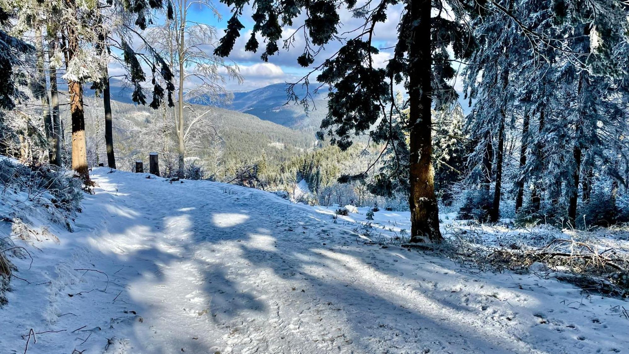 V Beskydech